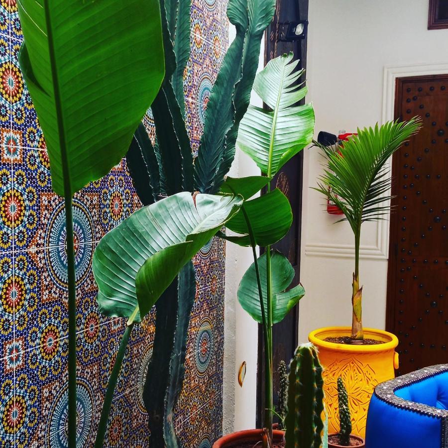 Riad Heklek Marakéš Exteriér fotografie